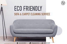 Eco-Friendly Sofa Cleaning